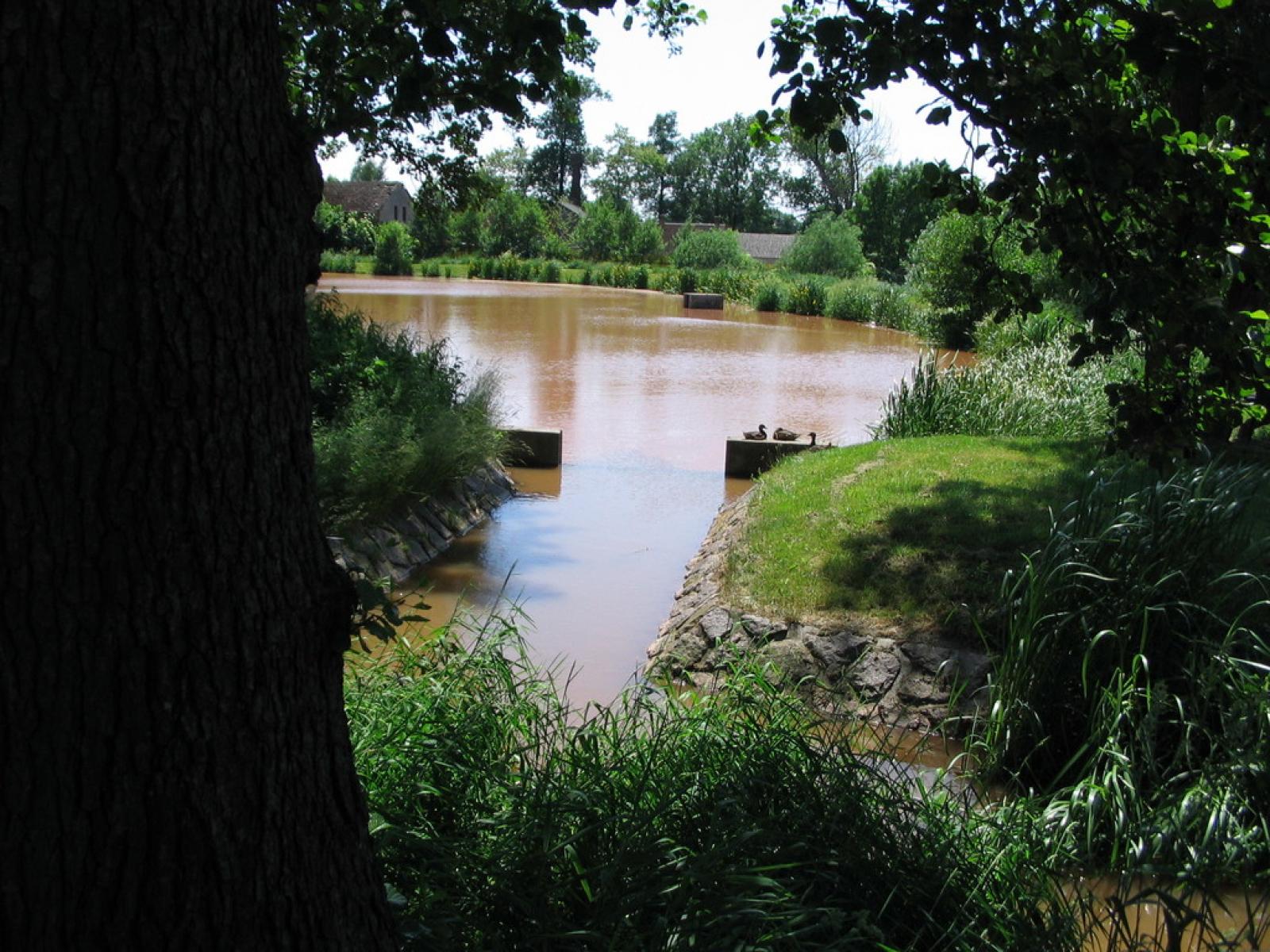 Koupaliště a rybník Mokrovousy Hradecko