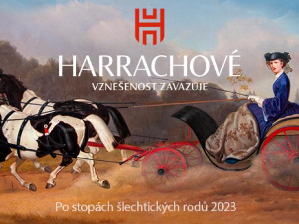 Hrádek u Nechanic