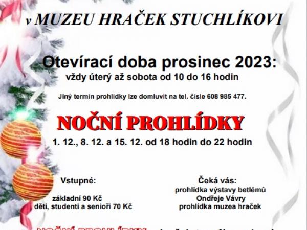 Noční prohlídky